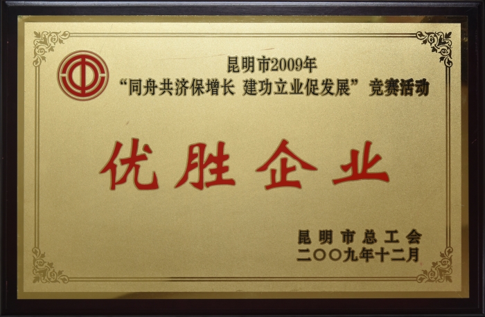 昆明市2009年 同舟共济保增长 建功立业促发展 优胜企业